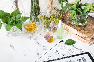 Alchemical symbols and ingredients for preparing potions on white background