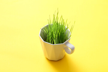 Fresh wheatgrass in cup on color background