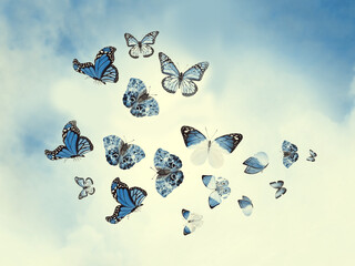 Color sky with clouds and butterflies as background