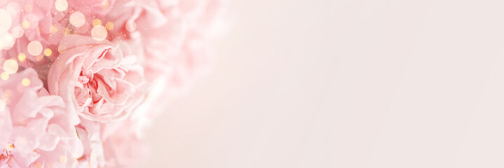 Tender banner of pink roses on beige background and lights - 406620864