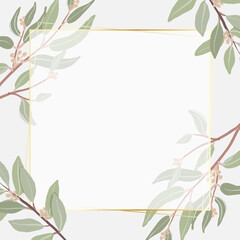 beautiful minimal seeded eucalyptus leaves square banner golden frame background for banner