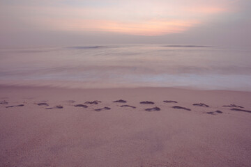 footprints on the beach	