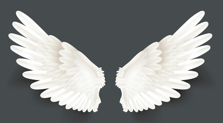 Realistic Detailed 3d White Wings Set. Vector
