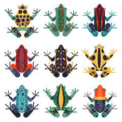 Tropical Poison Dart Frogs Set in Flat