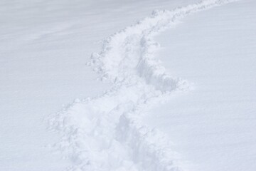 Pathway and foot prints in the deep fresh snow