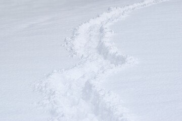 Obraz premium Pathway and foot prints in the deep fresh snow