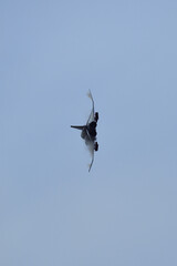 F-4EJファントム、百里基地航空祭