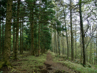 山梨県･東海自然歩道