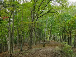 山梨県･東海自然歩道