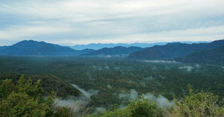 山梨県･青木ヶ原樹海