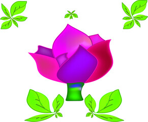 green rose with leaves