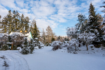 Fototapeta na wymiar Beautiful evergreen winter garden with conifers and trees covered by fresh snow