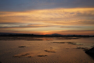 Fototapeta premium sunset on the beach