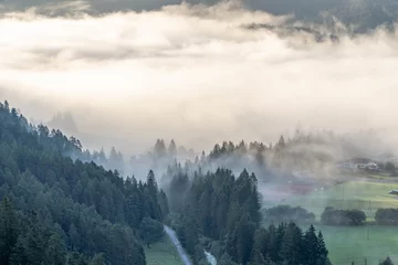 Crédence de cuisine en verre imprimé Forêt dans le brouillard Heavy morning fog mist over road in Gaicht Austria Village in morning hour