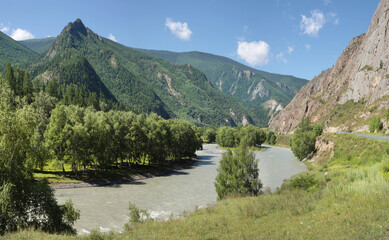 Naklejka na ściany i meble Summer in the Altai Mountains, Chuya River
