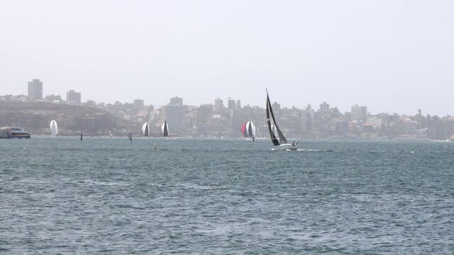 Sailing Boat is getting impacted by strong wind - Sydney Australia