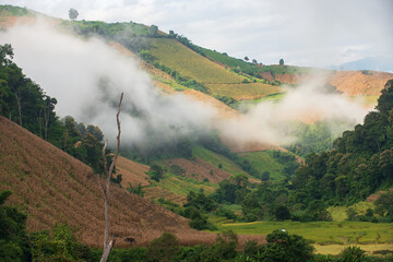 Fototapeta premium Beautiful view of rice fields and mountains in Mae Chaem District, Chiang Mai Province, North Thailand.