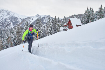Fototapete bei efototapeten.de bestellen   