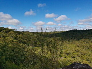 Fototapeta na wymiar Beautiful view of mountains, valleys, tall trees and blue sky with light clouds, Sydney, New South Wales, Australia 