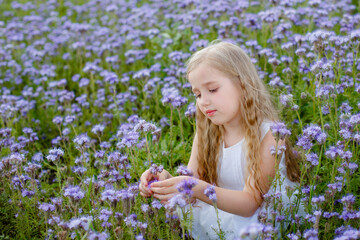 portrait of a little girl in a purple field with flowers