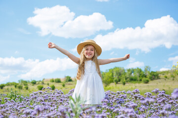 Naklejka na ściany i meble little girl in a straw hat in a purple field in summer