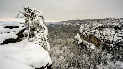 Winterscape - Winterwelt