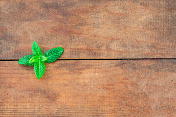 Fresh Mint  leaf  on a wooden table. Peppermint herb with  copy space. Top view..
