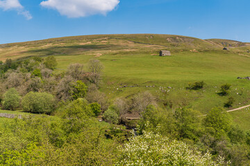 Obraz premium Landscape in the Swaledale between Keld and the Kisdon Force, North Yorkshire, England, UK