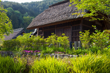 Fototapeta na wymiar Thatched roof buildings in the Japanese traditional village of Saiko Iyashi no Sato Nemba near Mount Fuji in Japan.