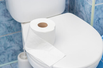 Bathroom interior with new ceramic toilet bowl