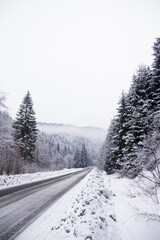 Obraz premium winter road in the mountains and trees with snow. Poland