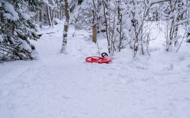 abandoned slider in the snow