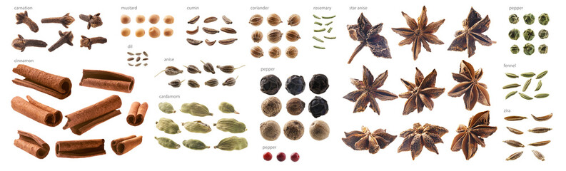 Large collection of seasonings and spices on a white background - obrazy, fototapety, plakaty