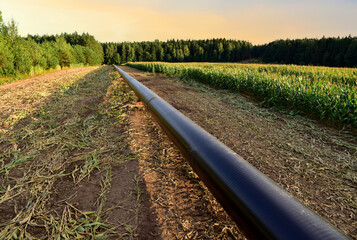 LNG pipeline construction project  for global exports of natural gas. Building of transit...