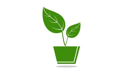 Beautiful green plant in the pot vector logo