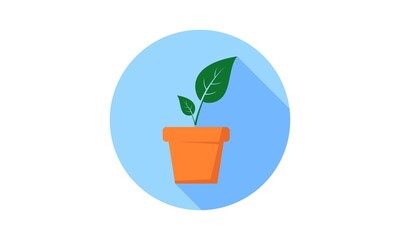 Plant and pot vector icon