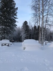 car under the snow