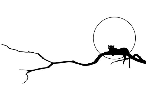 vector frame and divider with stylized panther, branch and moon or sun in black and white colors