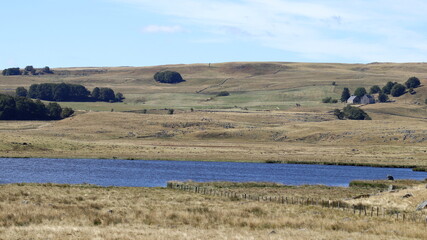 Fototapeta premium pont sur le plateau de l'Aubrac