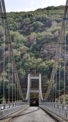 gorges de la Truyère et ruines du château d'Alleuze