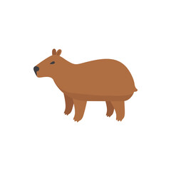 Cute capybara. Vector illustration