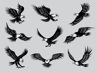 Flying eagles. Silhouettes of birds wild hawks freedom animals for motorcycle emblems recent vector illustrations. Eagle tattoo wildlife, soaring and hunting, flying wild bird