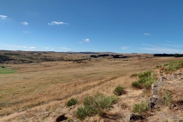 plateau de l'Aubrac en été