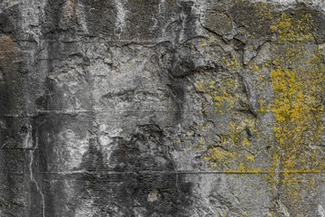 Eine alte Betonoberfläche - Betonstruktur mit gelben Pilz.