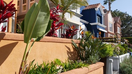 California typical suburban street, tropical Oceanside USA. Different colorful houses row. Generic...