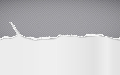 Torn of grey squared paper strip is on white background for text, advertising or design. Vector illustration