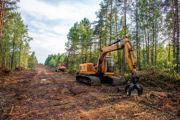 Excavator Grapple during clearing forest for new development. Tracked Backhoe with forest clamp for forestry work. Tracked timber Crane and Hydraulic Grab log Loader. - obrazy, fototapety, plakaty