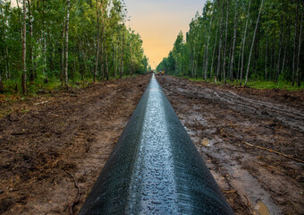 Crude oil and Natural gas pipeline construction work in forest area.  Petrochemical Pipe on top of...