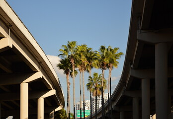 Downtown Tampa, Florida