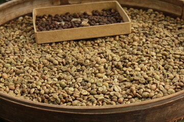 Luwak Coffee From Bali Indonesi